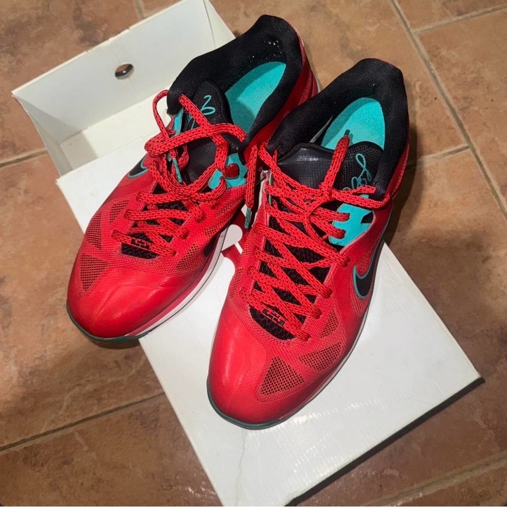Lebron 9 low sz 12